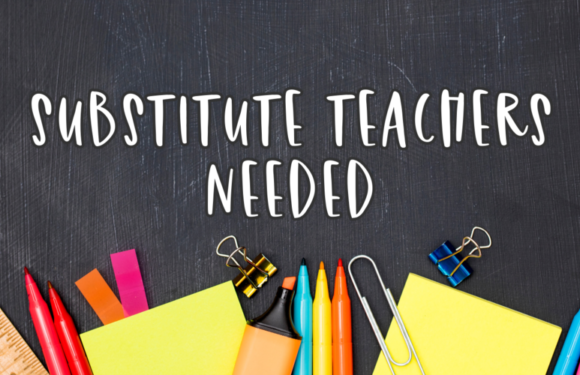 Substitute Teacher Aide